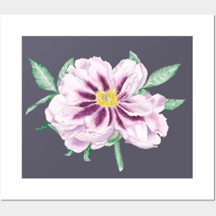 Tree peony Posters and Art